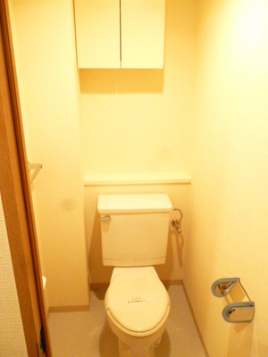 Toilet. Clean and comfortable restroom