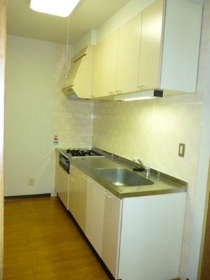 Kitchen. The arrangement of the dishwasher is also easy system Kitchen. Kit at the time of a sudden visitor