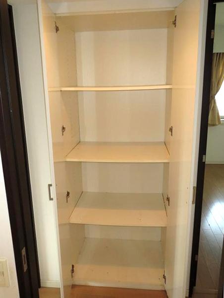 Other introspection. Located in the hallway, It is storage space.