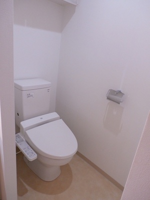 Toilet. With cleaning warm toilet seat 1 groups (equipment)