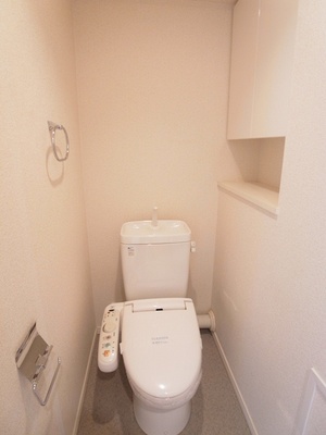 Toilet. Full of cleanliness, Convenient toilet with shower function