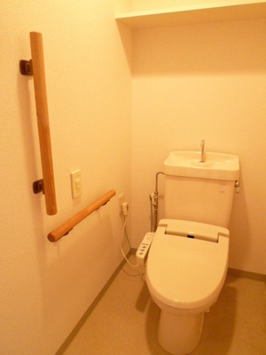 Toilet. Typical indoor photo. Full of clean toilet.