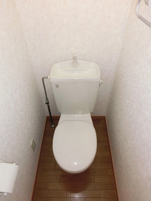 Toilet. Toilet