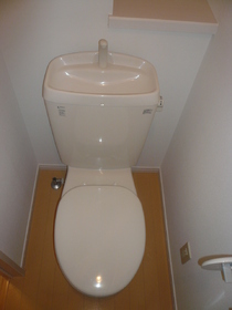 Toilet. It is an important space