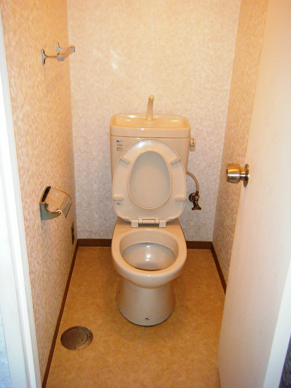 Other. It is a simple toilet.