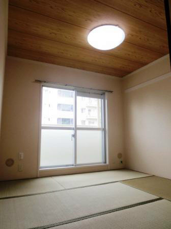 Other. Ceiling is also a beautiful calm down Japanese-style room