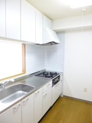 Kitchen. Typical photo. Counter kitchen is visible face, It is open ☆