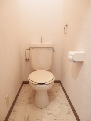 Toilet. Toilet is based on white. 