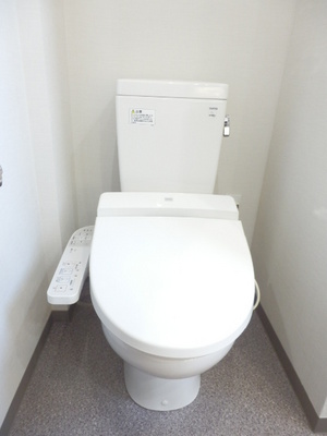 Toilet. Washlet equipment. 