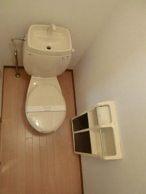 Toilet. Standard toilets