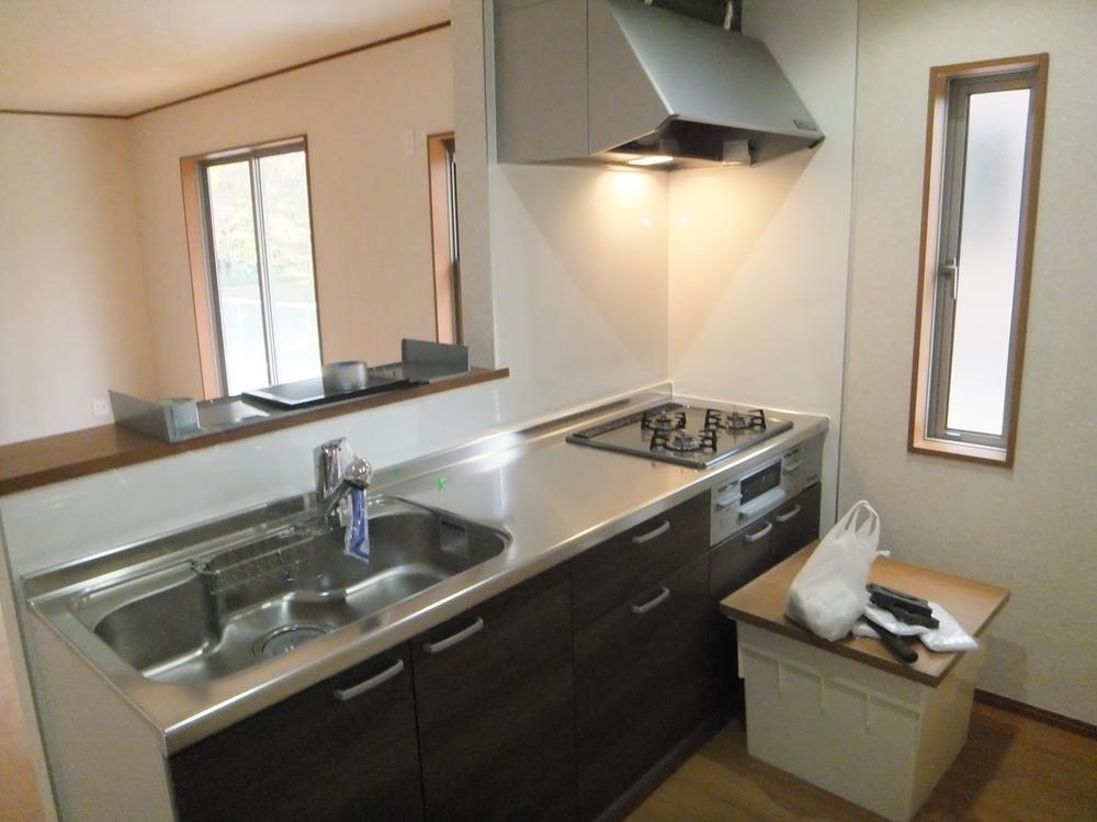 Kitchen. Indoor (11 May 2013) Shooting