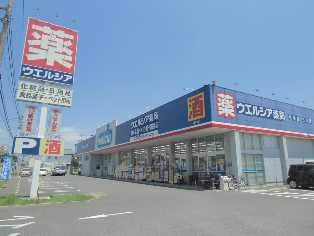 Drug store. Uerushia 724m to Chiba Tsuga shop