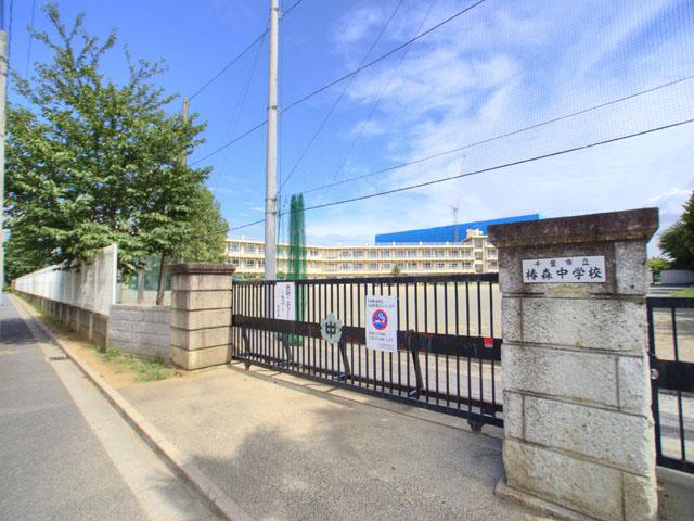 Junior high school. Tsubakimori 1600m until junior high school