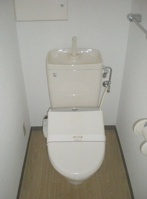 Toilet. Toilet