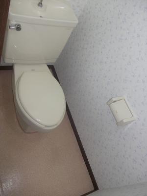 Other. Toilet