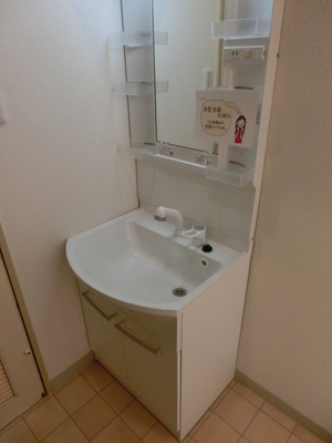 Washroom. Wash basin with shampoo Dore Sir