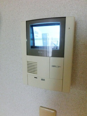 Security. TV phone can be seen of the visitors. 