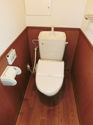 Toilet. I toilets are simple. 