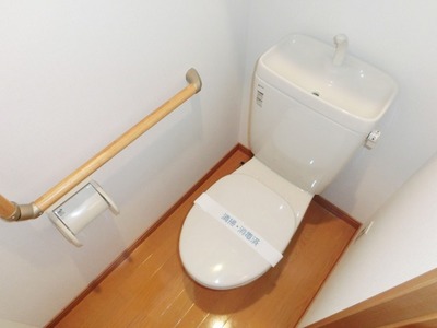 Toilet. I toilets are simple.