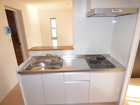 Kitchen. Two-neck is a gas stove Installed! It will spread the width of the dishes ^^