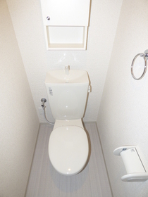 Toilet. There is also a storage. It is convenient