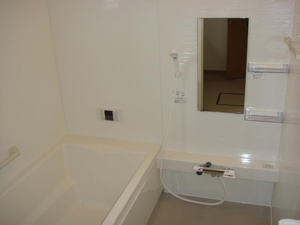 Bathroom. Same specifications construction cases