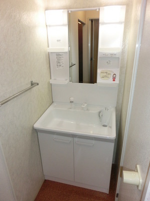 Washroom. Shampoo dresser