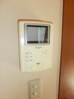 Security. Crime prevention TV Intercom equipped