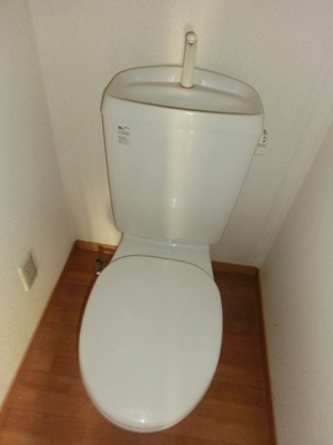 Toilet. Toilet