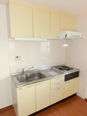 Kitchen. Two-burner gas stove with kitchen