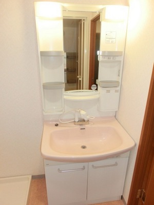 Washroom. Bathroom Vanity