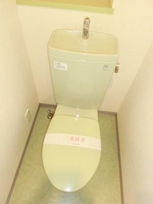 Toilet. Toilet