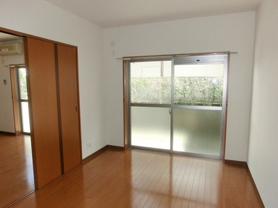 Living and room. Flooring clad Western-style