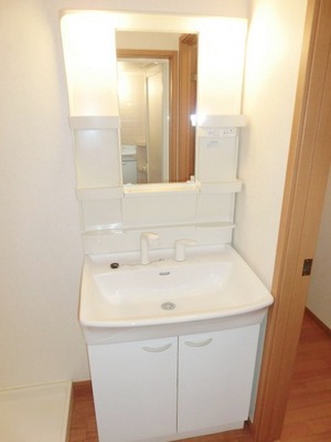 Washroom. Convenient independent vanity