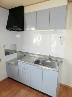 Kitchen. Two-burner gas stove can be installed