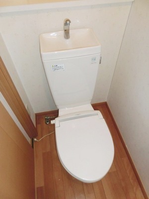 Toilet. Toilet