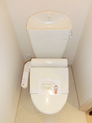 Toilet. Toilet with warm water washing toilet seat