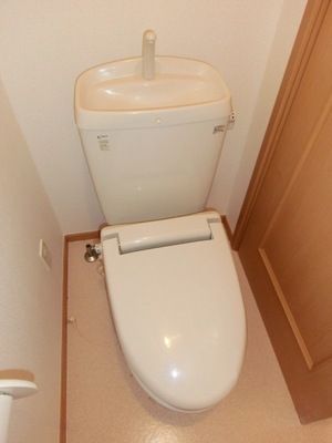 Toilet. Toilet with a heating toilet seat