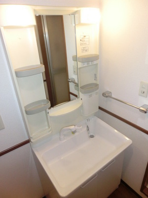 Washroom. Shampoo dresser equipped