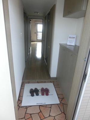 Entrance. Entrance with shoes BOX
