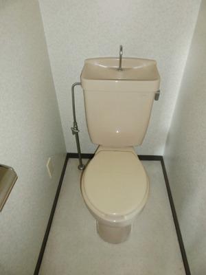 Toilet. I toilets are simple.