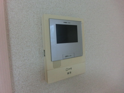 Security. TV Intercom equipped to understand the visitor