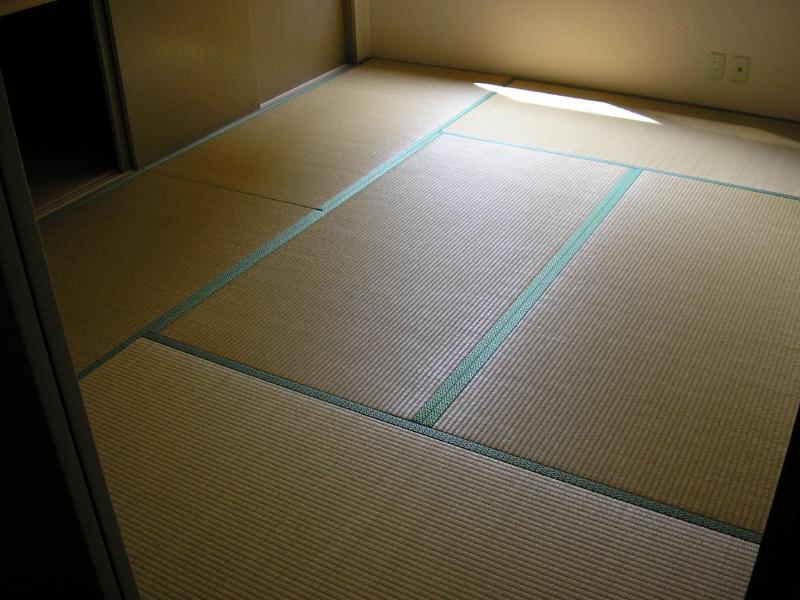 Other room space. Calm new article of tatami