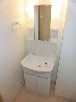 Washroom. Shampoo dresser