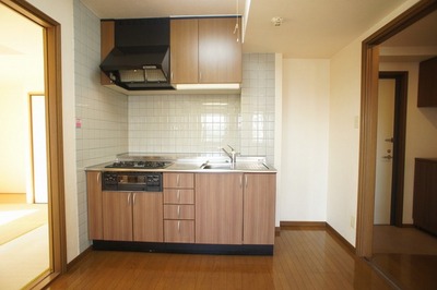 Kitchen. The left is the refrigerator space