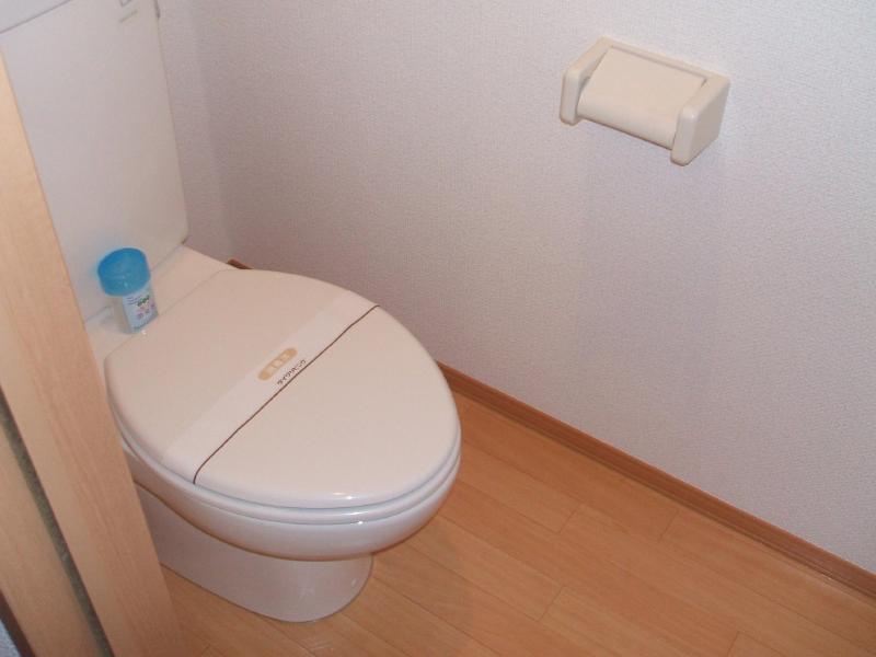 Toilet. There is a feeling of cleanliness