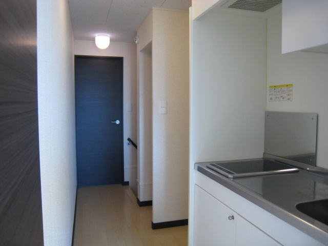 Other. kitchen, Walk-in closet is behind the door of the corridor.