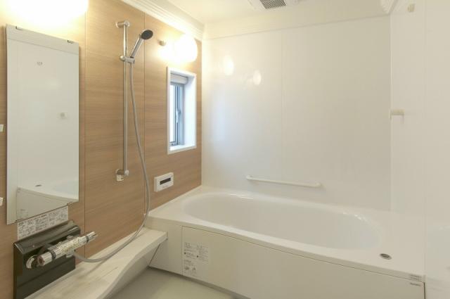 Bathroom. Our construction cases