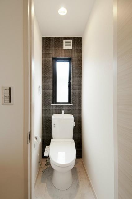 Toilet. Our construction cases