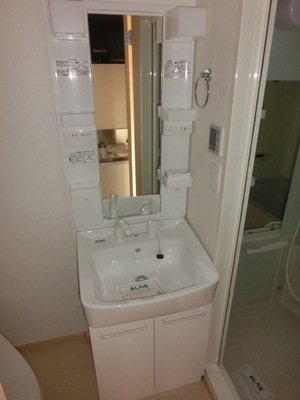 Washroom. Shampoo dresser